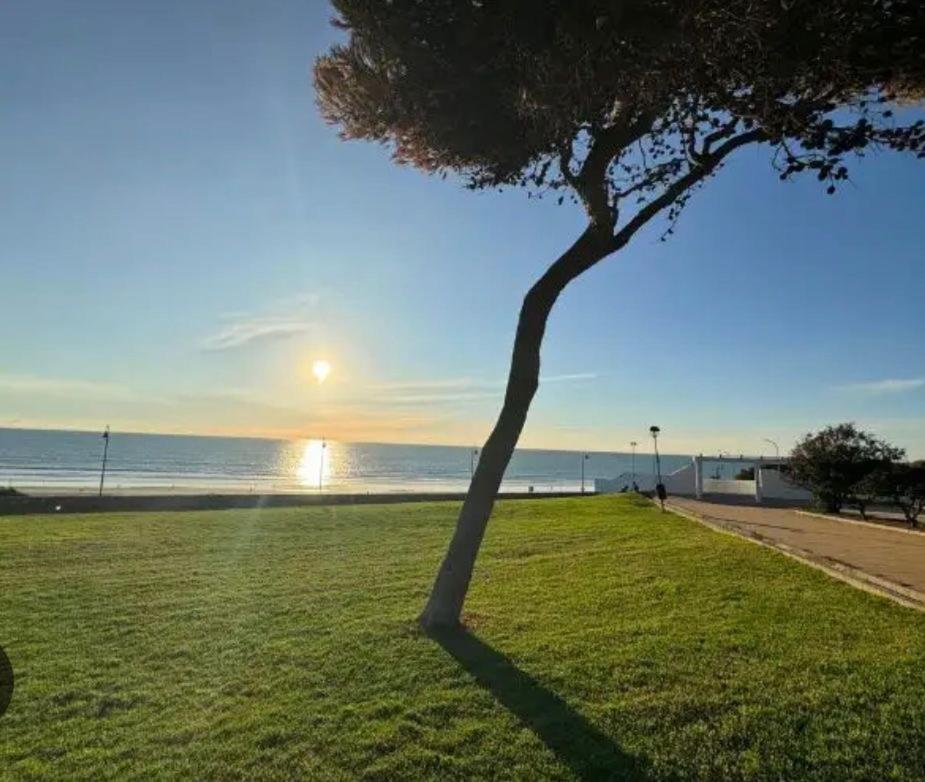 Apartamento La Fontanilla Conil De La Frontera Exterior foto